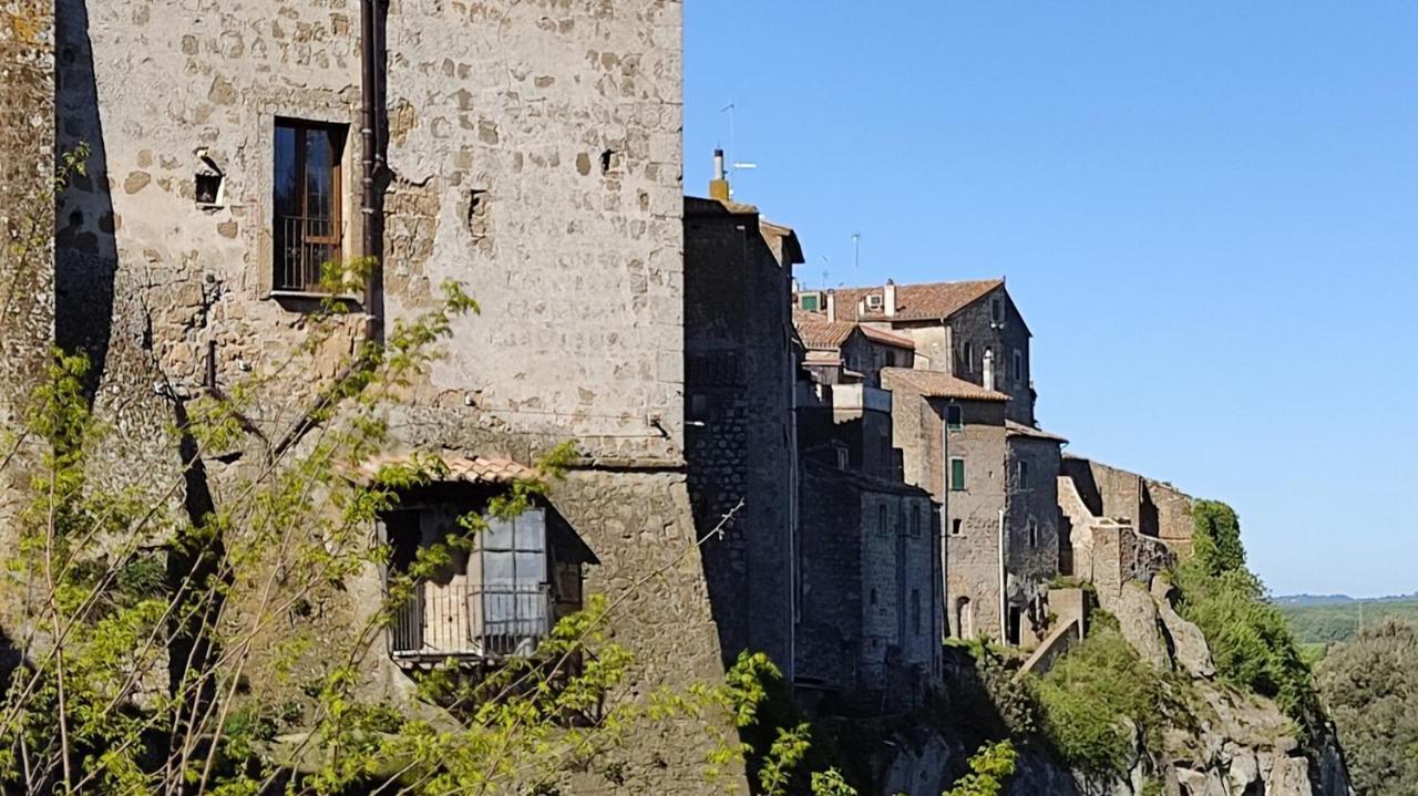 La Chascona Di Farnese Casa Di Tufo Nel Borgo Daire Dış mekan fotoğraf