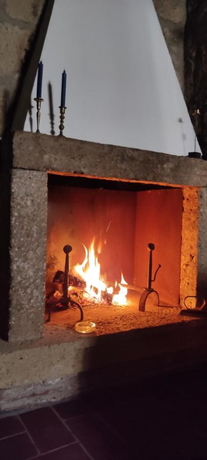 La Chascona Di Farnese Casa Di Tufo Nel Borgo Daire Dış mekan fotoğraf