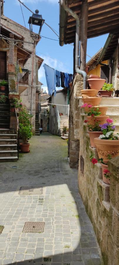La Chascona Di Farnese Casa Di Tufo Nel Borgo Daire Dış mekan fotoğraf