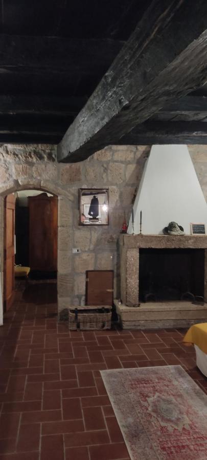 La Chascona Di Farnese Casa Di Tufo Nel Borgo Daire Dış mekan fotoğraf
