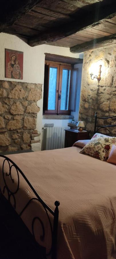 La Chascona Di Farnese Casa Di Tufo Nel Borgo Daire Dış mekan fotoğraf
