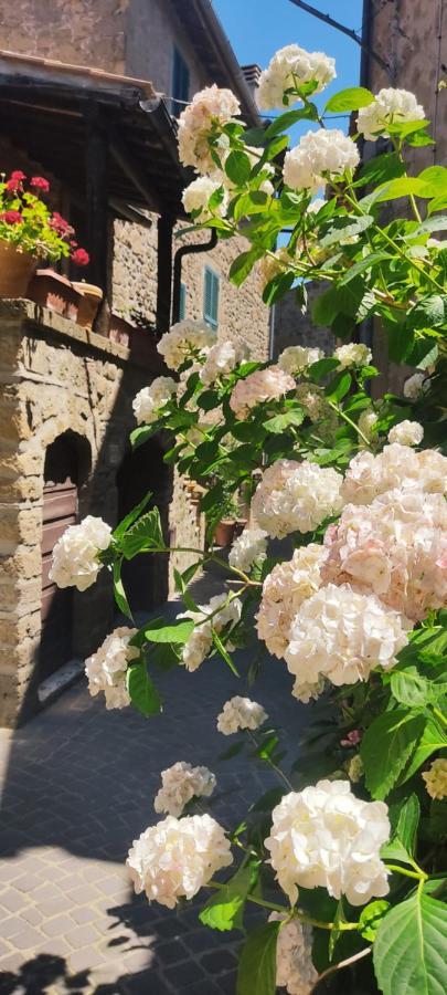 La Chascona Di Farnese Casa Di Tufo Nel Borgo Daire Dış mekan fotoğraf