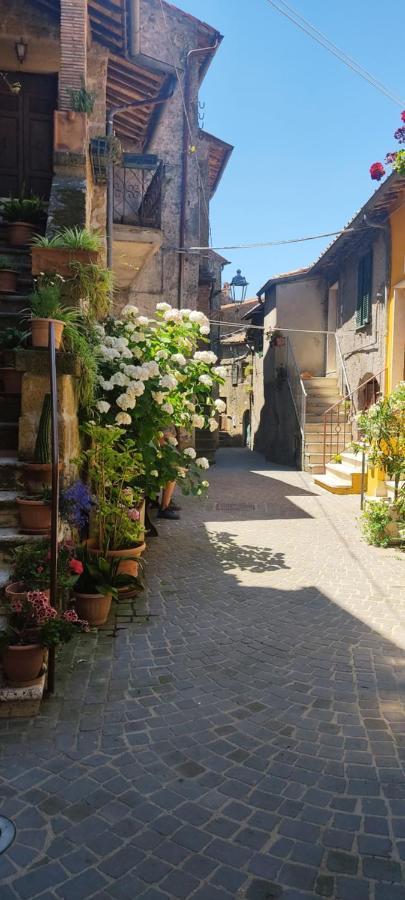 La Chascona Di Farnese Casa Di Tufo Nel Borgo Daire Dış mekan fotoğraf