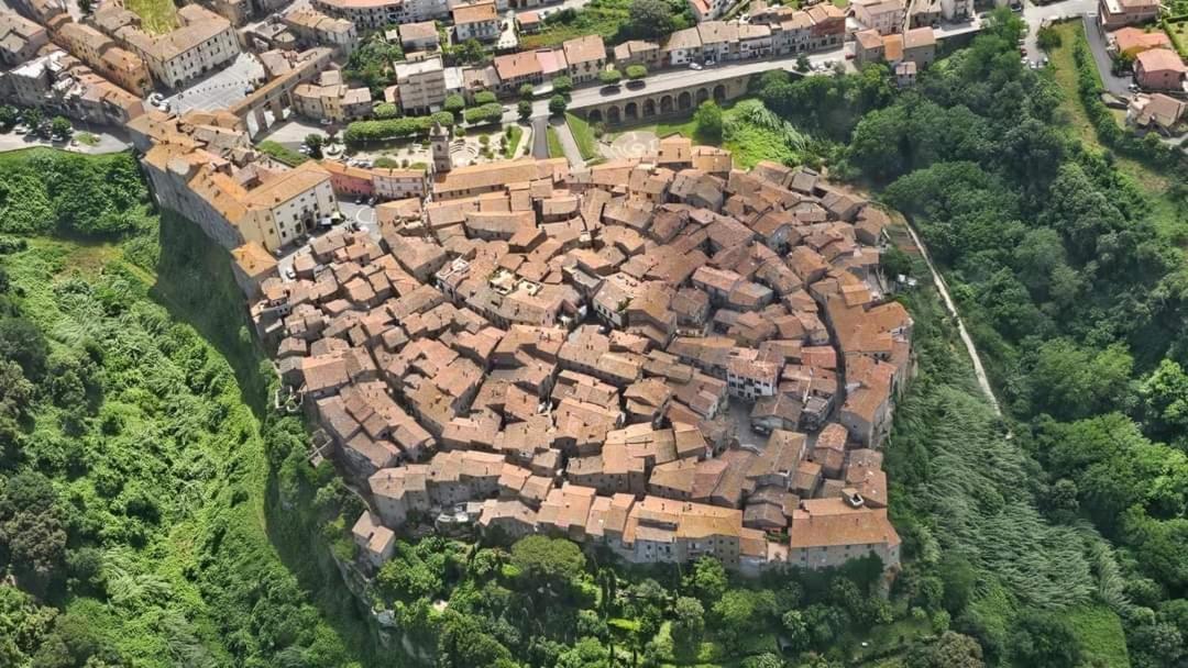 La Chascona Di Farnese Casa Di Tufo Nel Borgo Daire Dış mekan fotoğraf